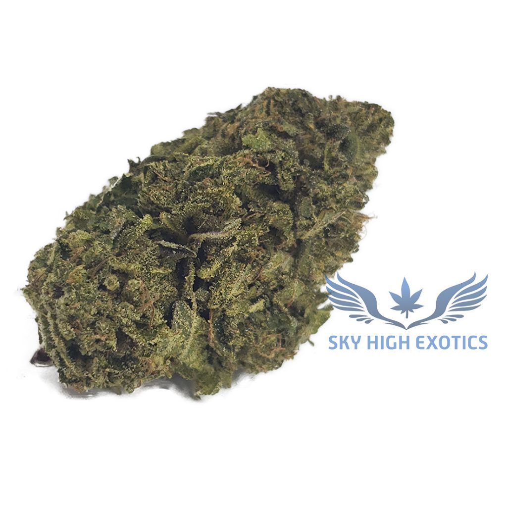 Sky High Exotics