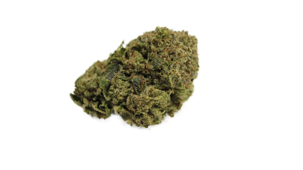 Sky High Exotics