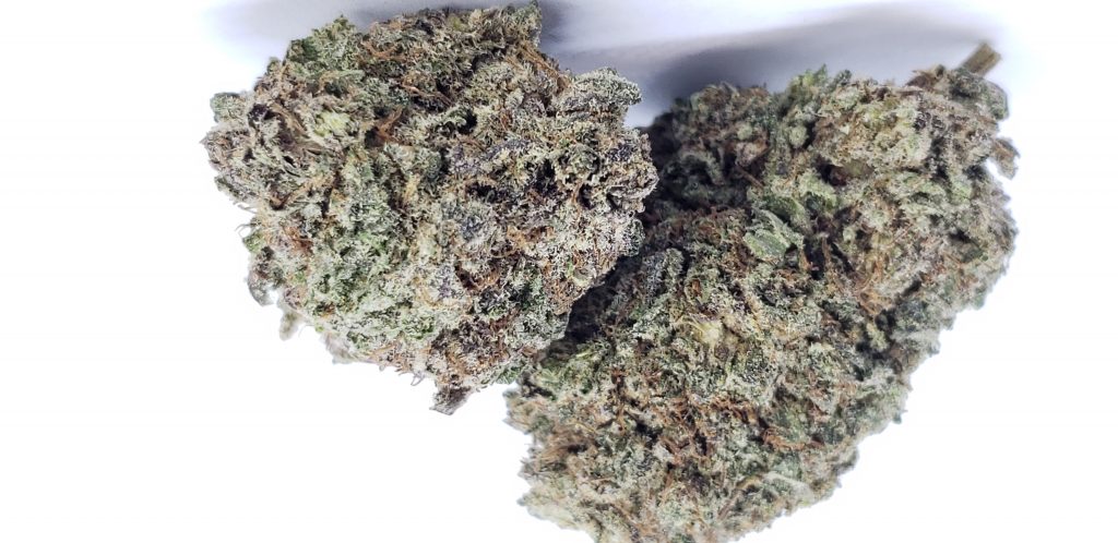 Sky High Exotics