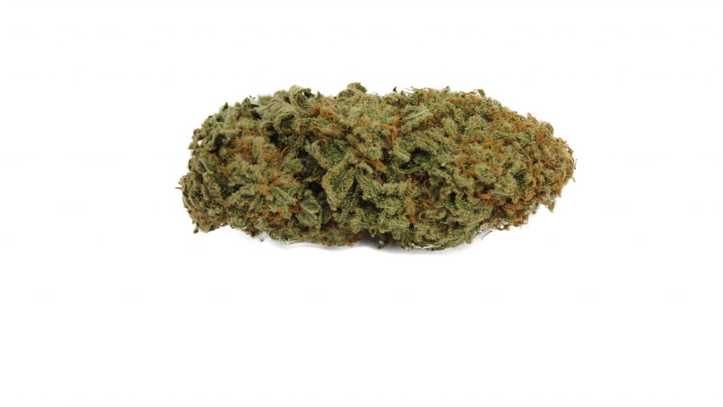 Sky High Exotics