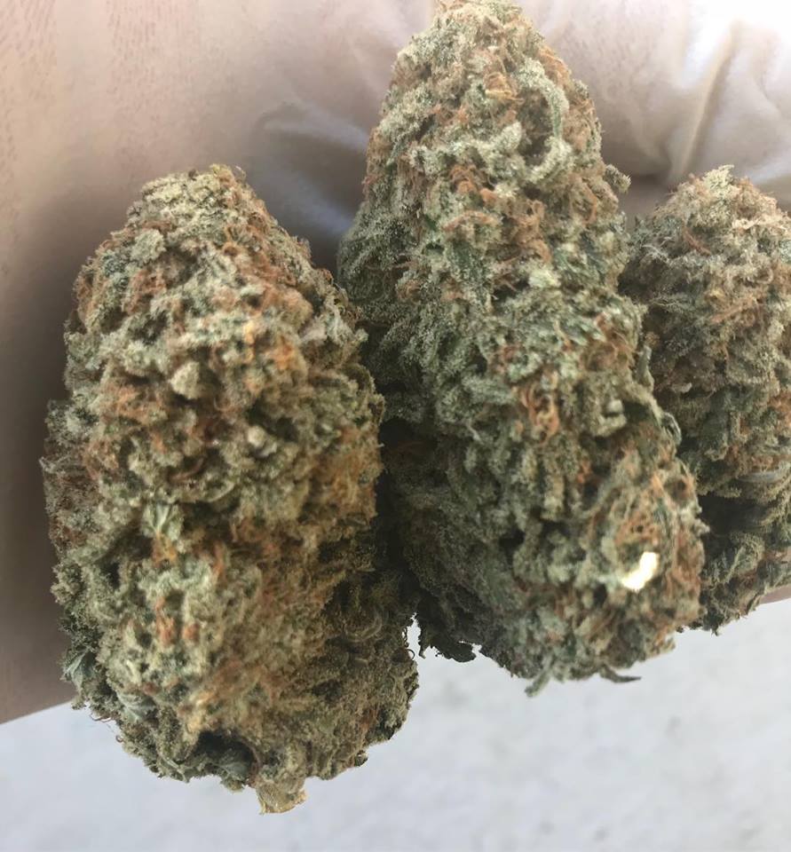 Sky High Exotics