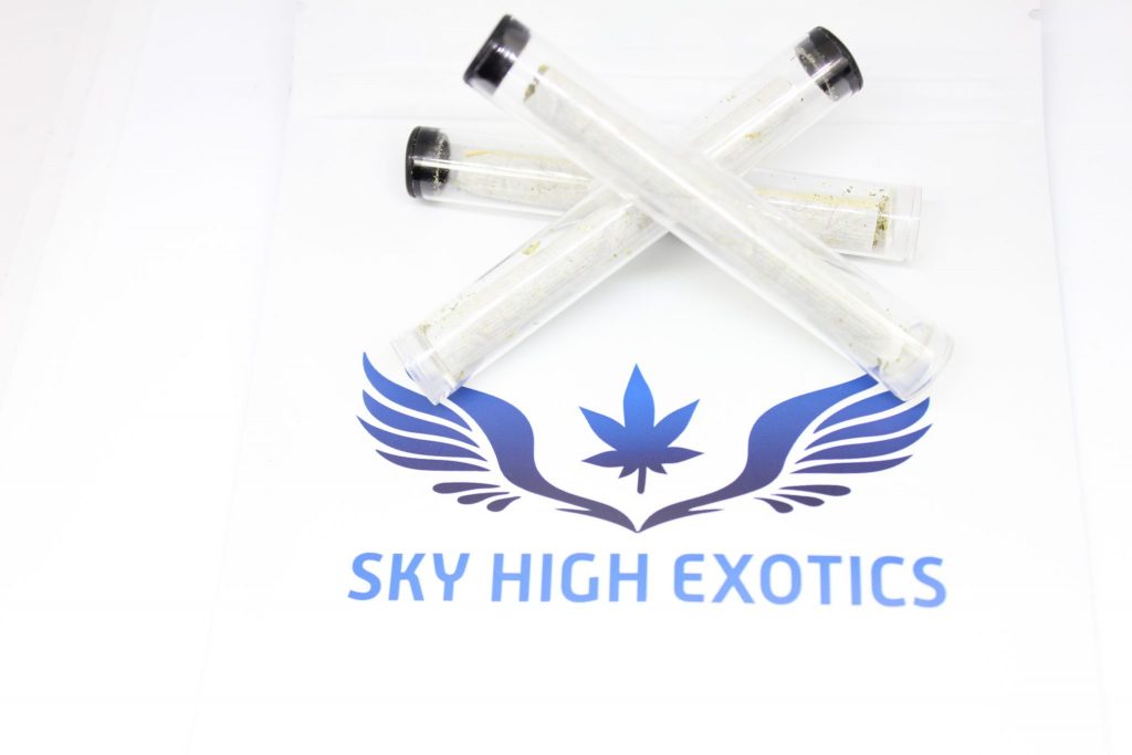 Sky High Exotics