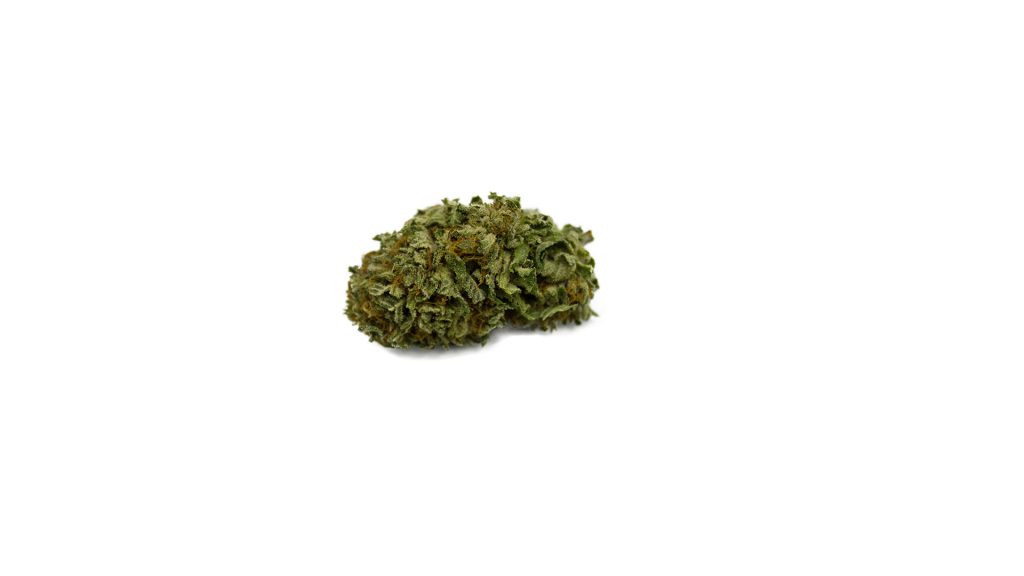 Sky High Exotics