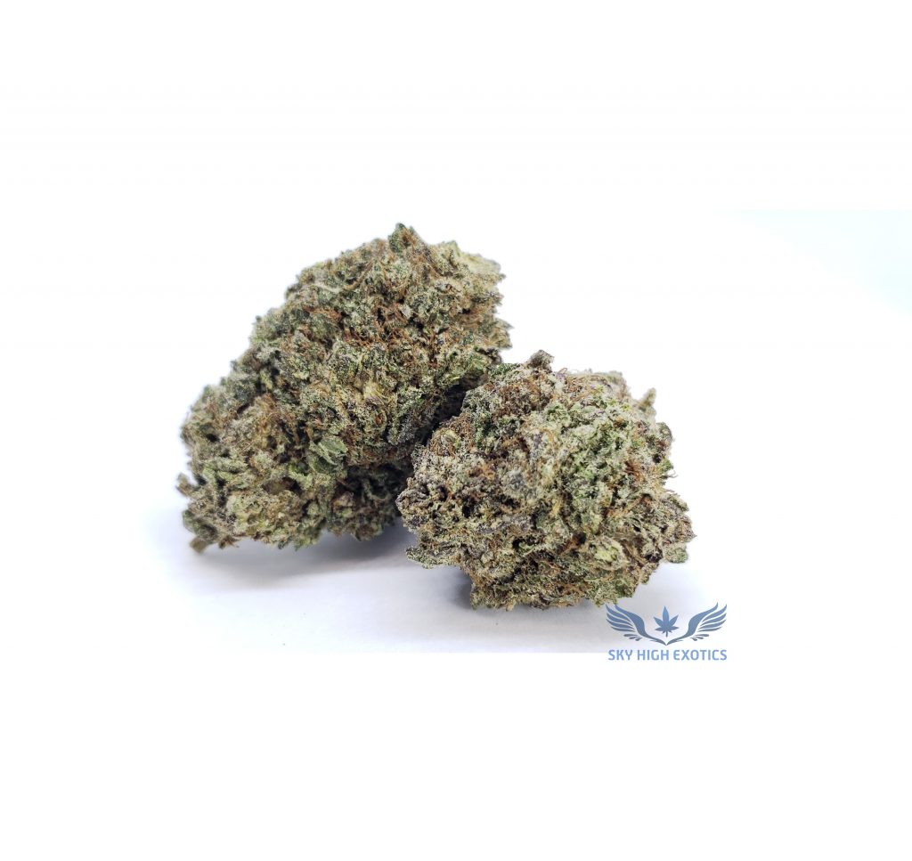 Sky High Exotics