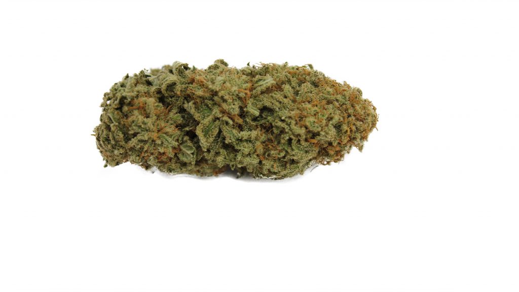 Sky High Exotics