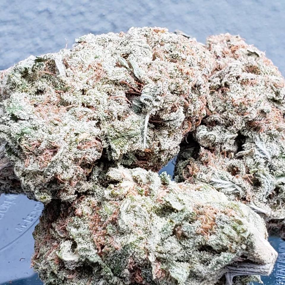 Sky High Exotics