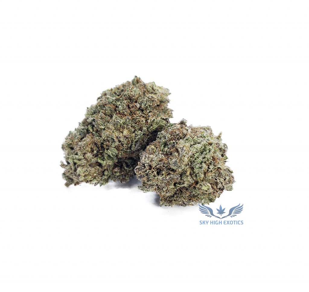 Sky High Exotics
