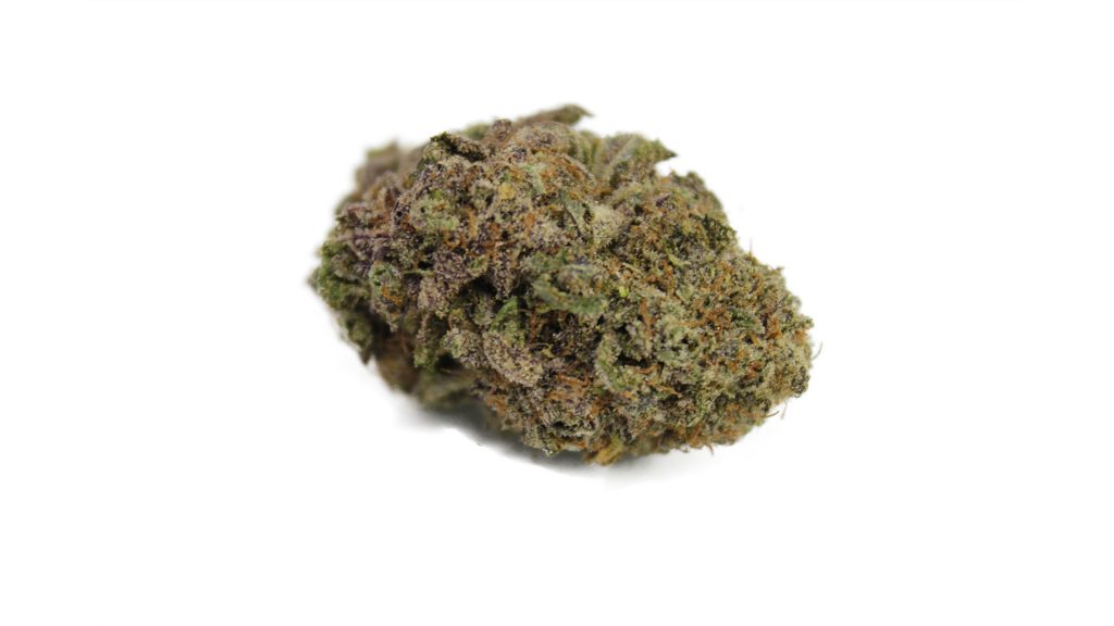 Sky High Exotics