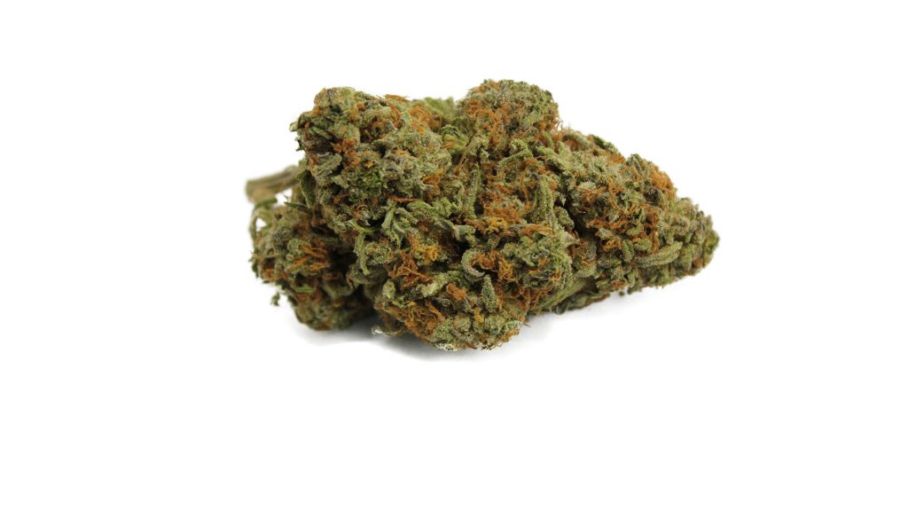 Sky High Exotics
