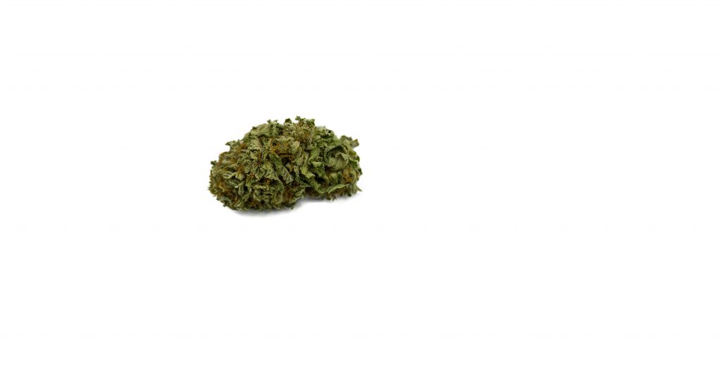 Sky High Exotics
