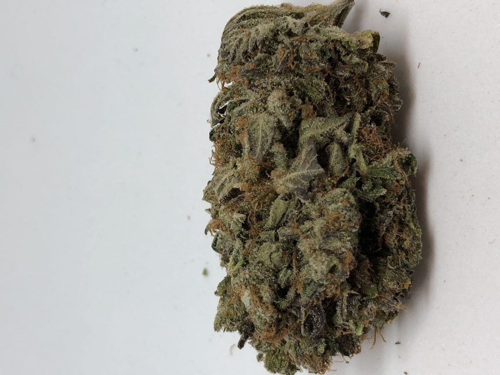 Sky High Exotics