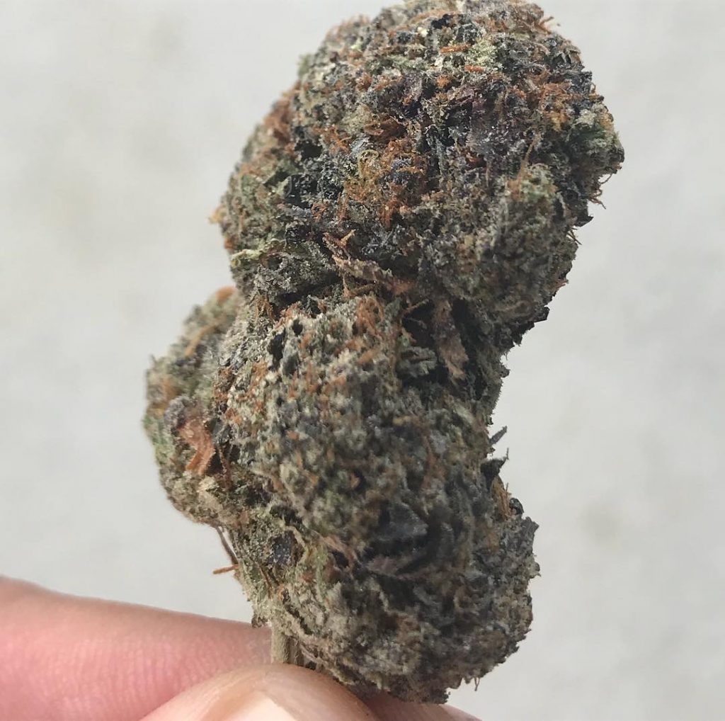 Sky High Exotics