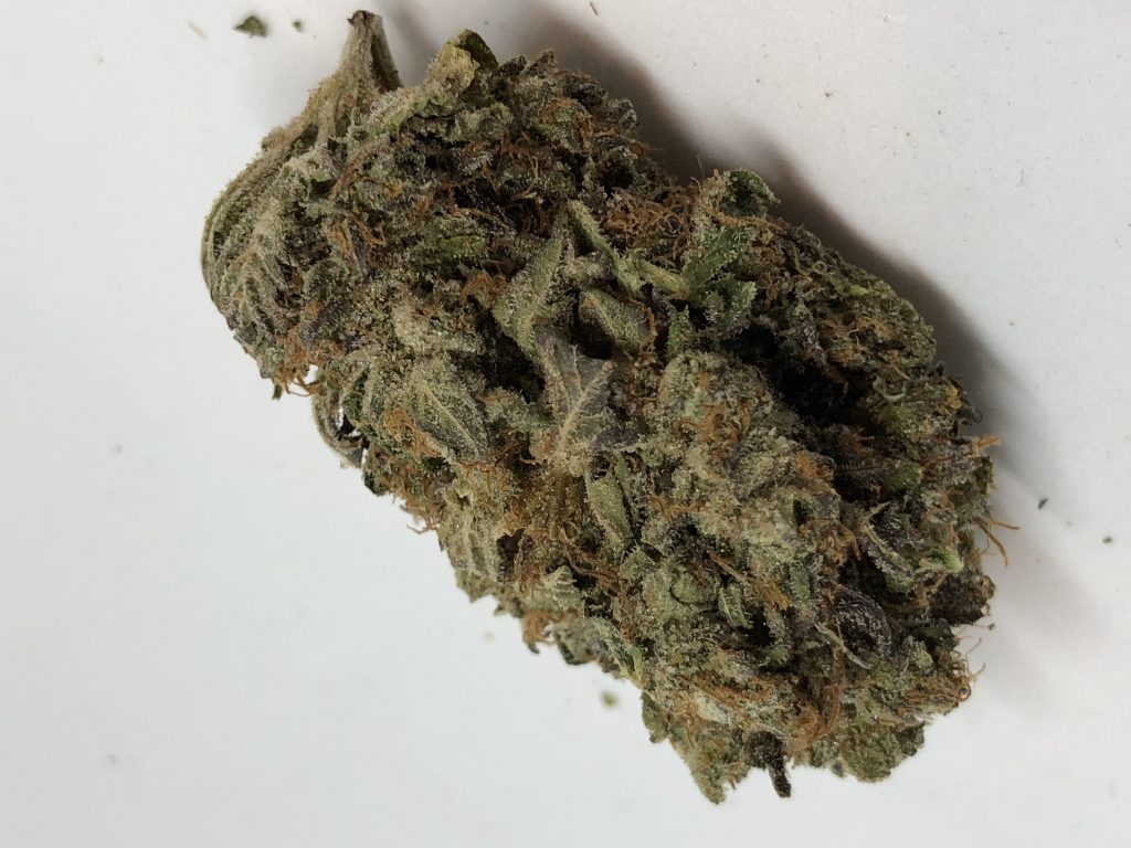 Sky High Exotics