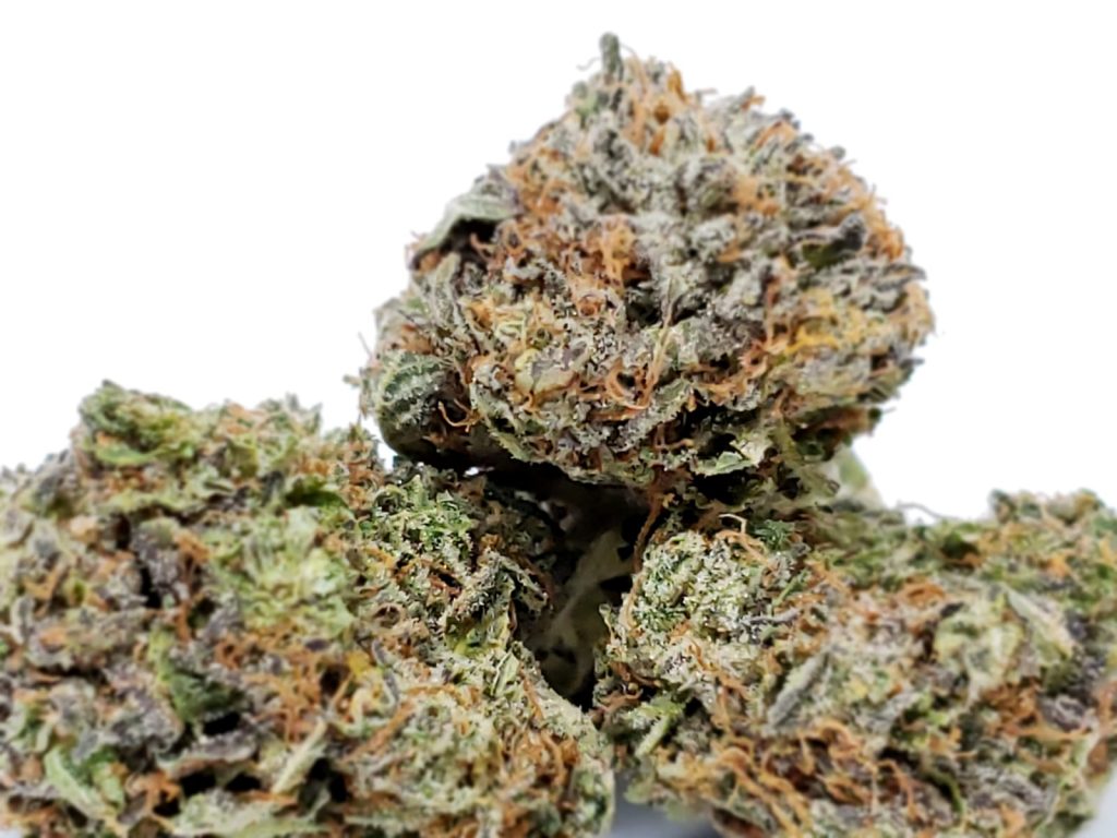 Sky High Exotics