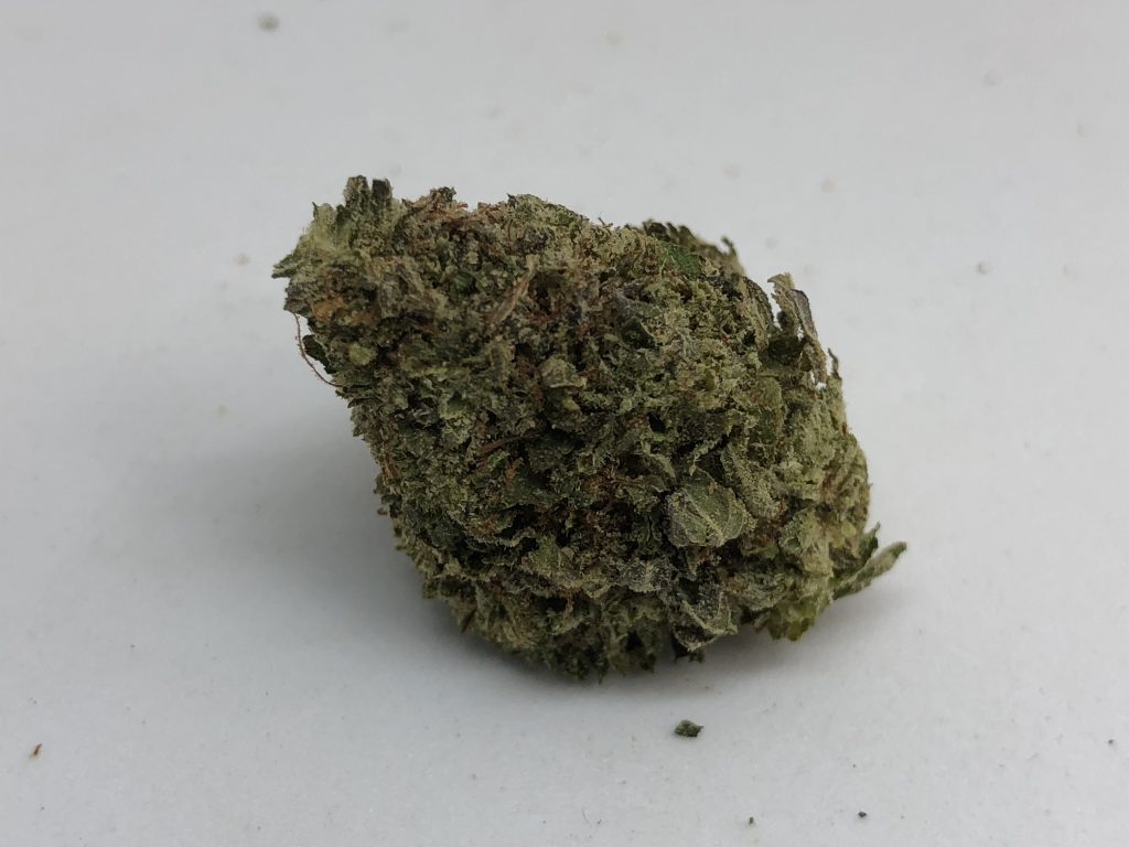 Sky High Exotics