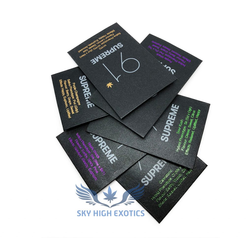 Sky High Exotics