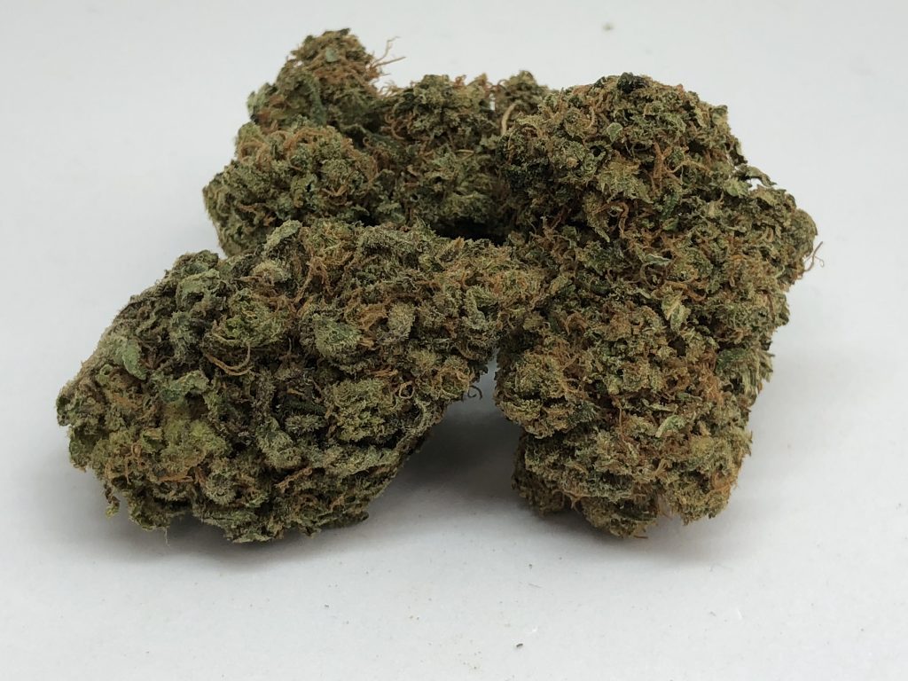 Sky High Exotics
