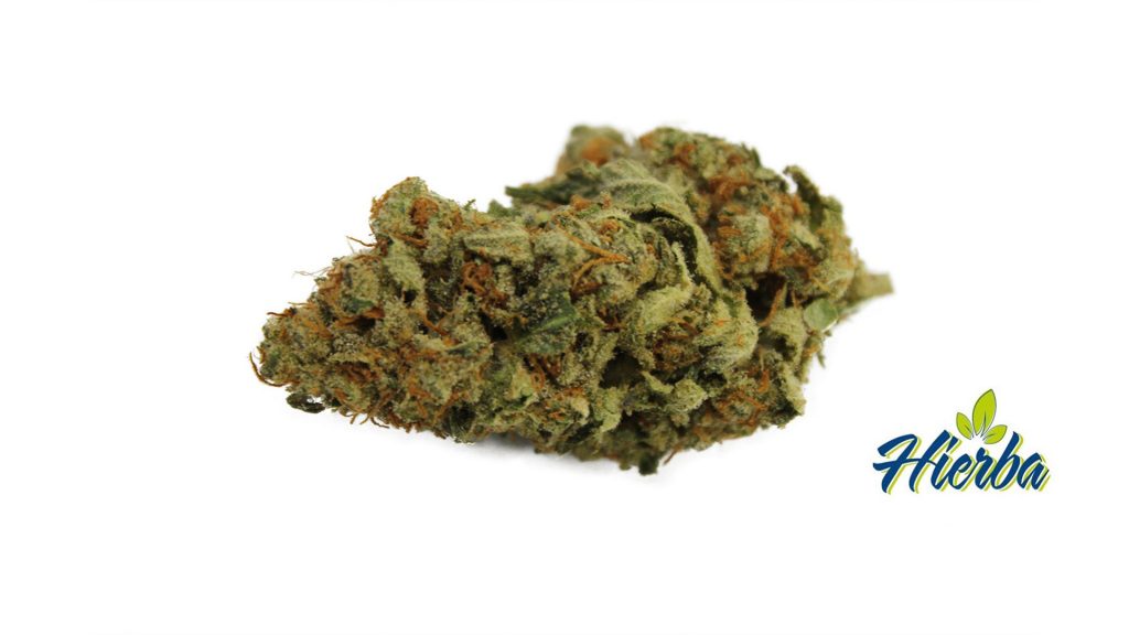 Sky High Exotics