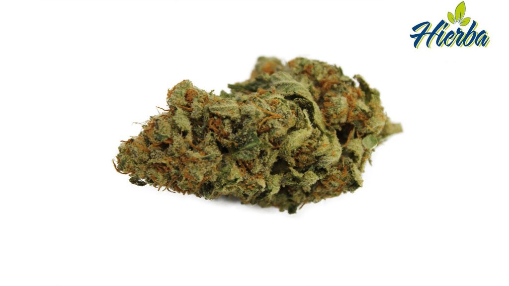 Sky High Exotics