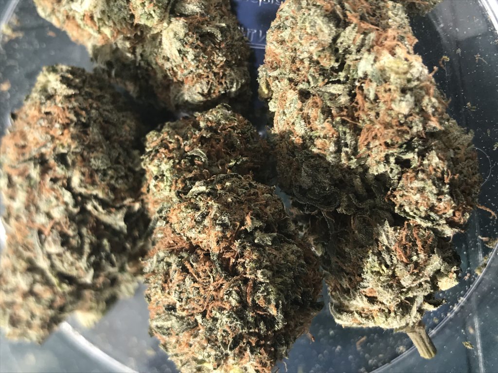 Sky High Exotics