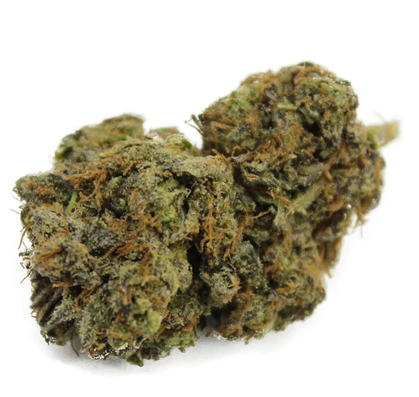 Sky High Exotics
