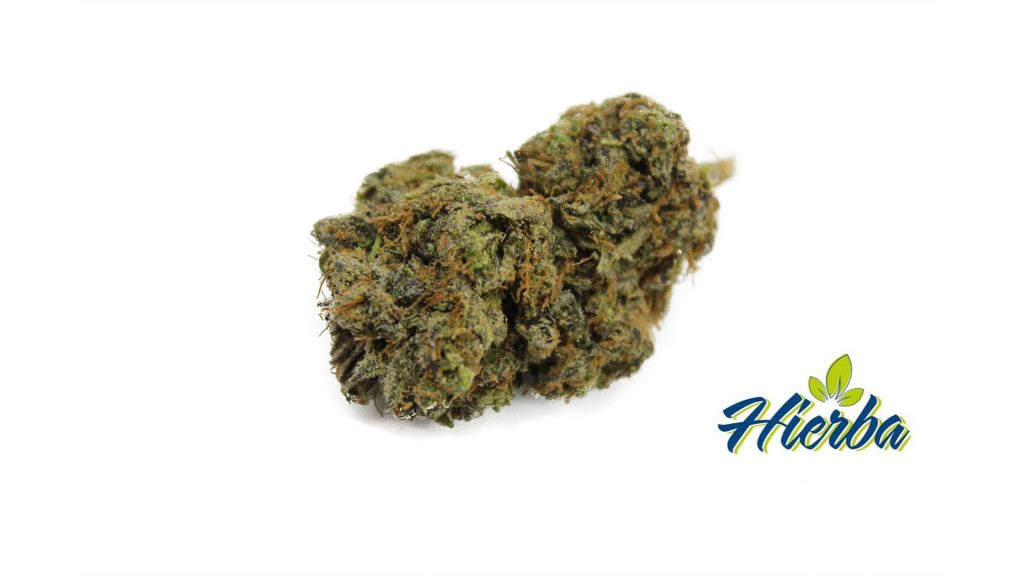 Sky High Exotics