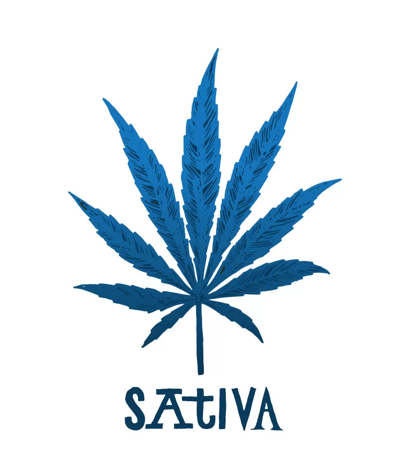 Sky High Exotics