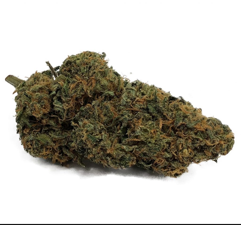 Sky High Exotics