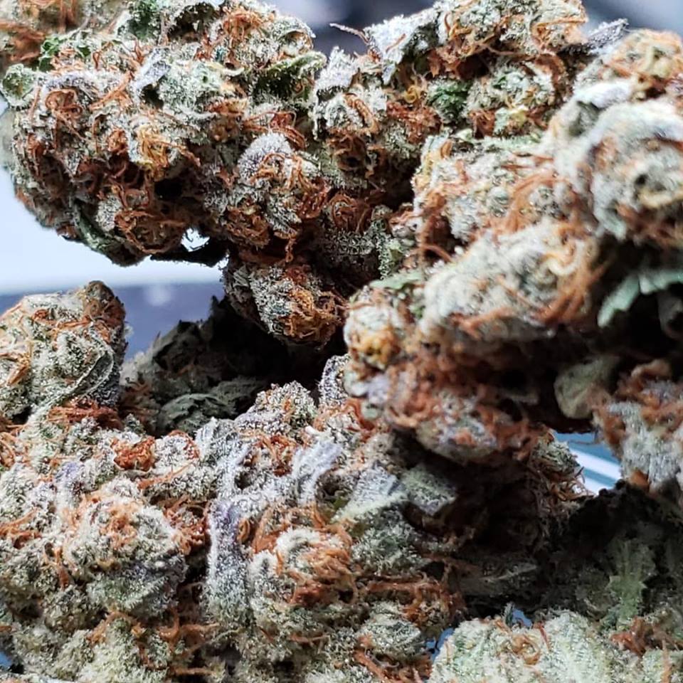Sky High Exotics