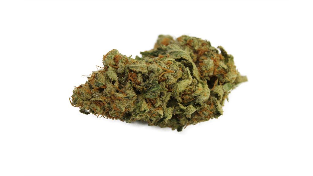 Sky High Exotics