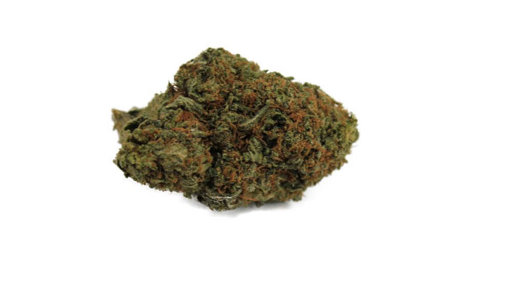 Sky High Exotics