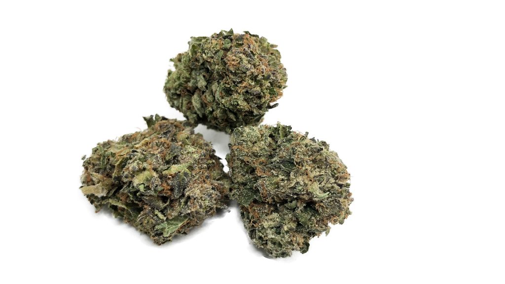 Sky High Exotics