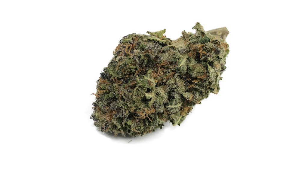 Sky High Exotics