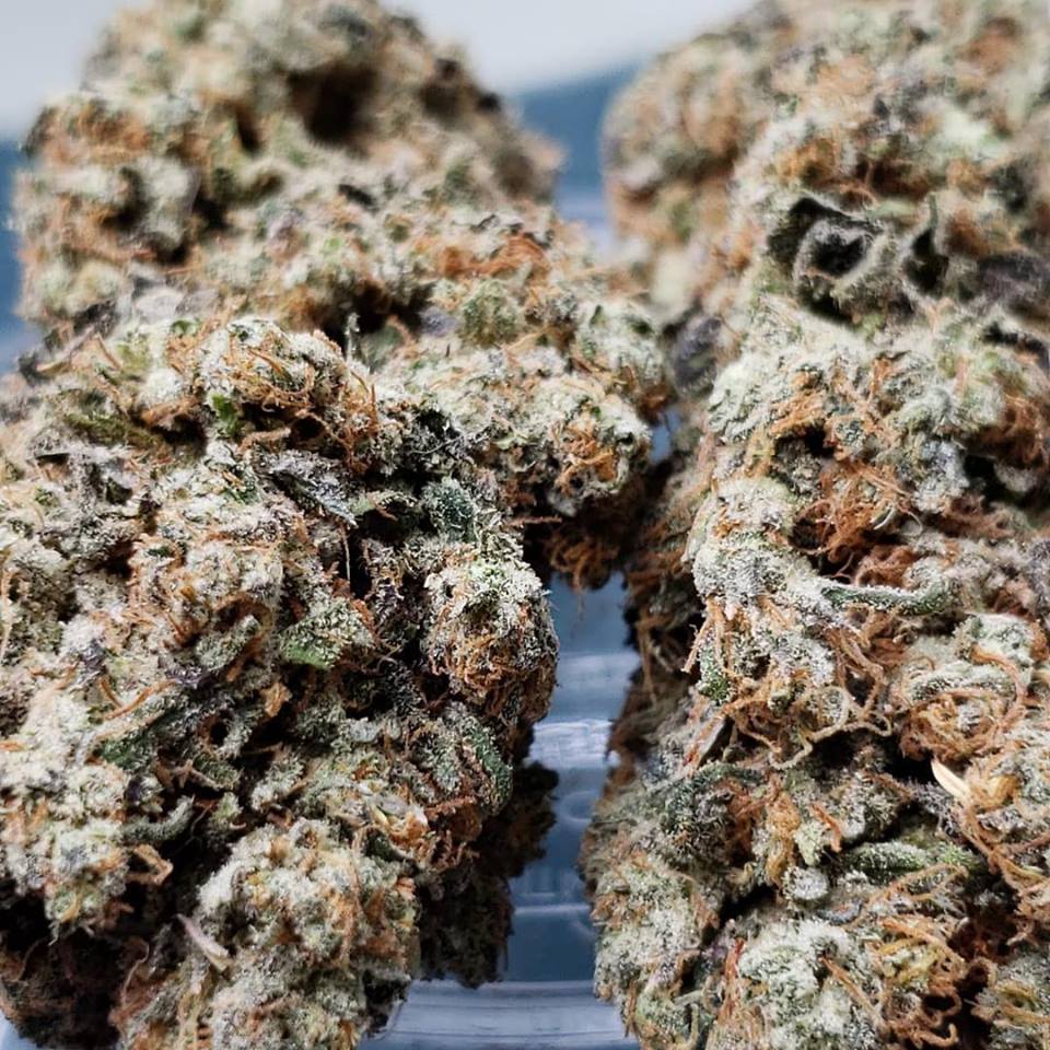 Sky High Exotics