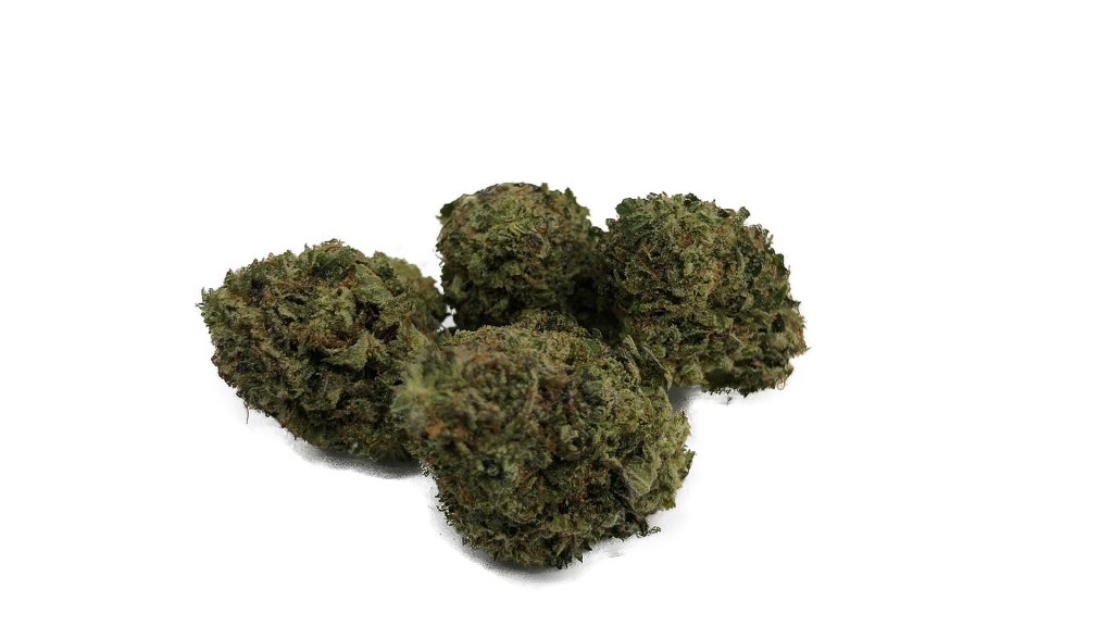 Sky High Exotics
