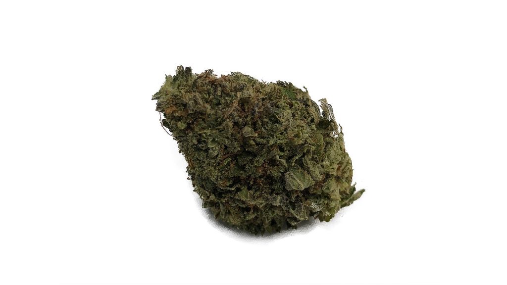 Sky High Exotics