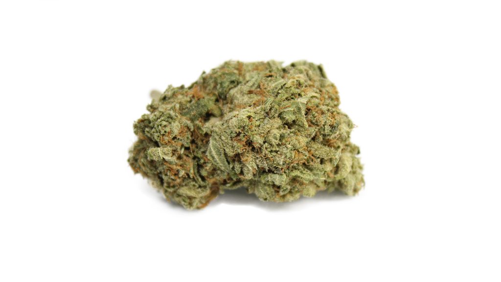 Sky High Exotics
