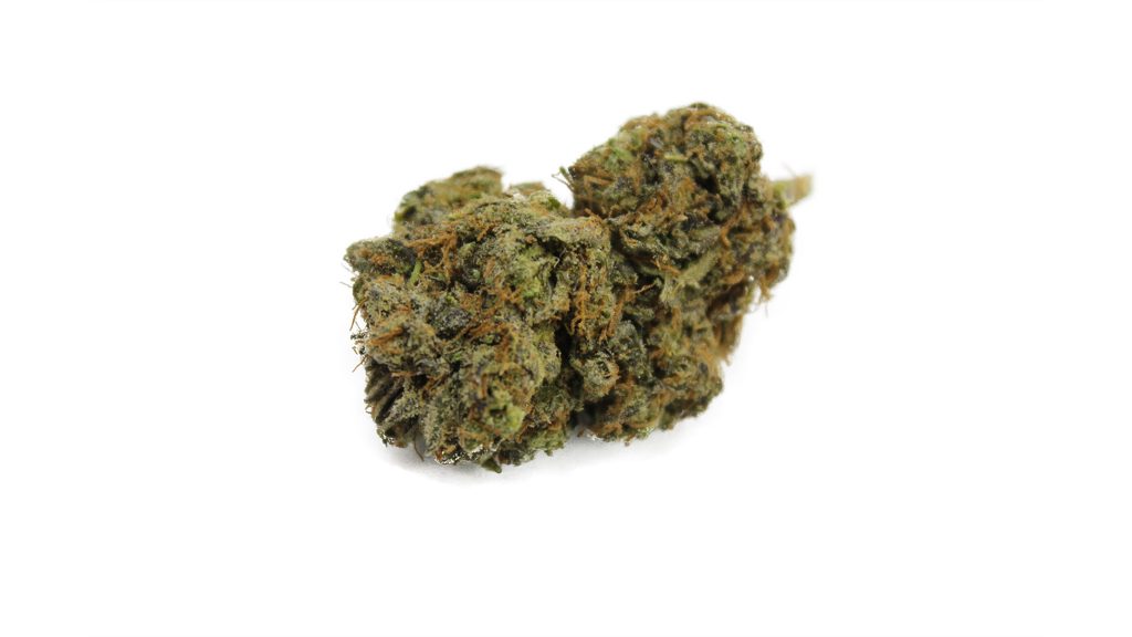 Sky High Exotics
