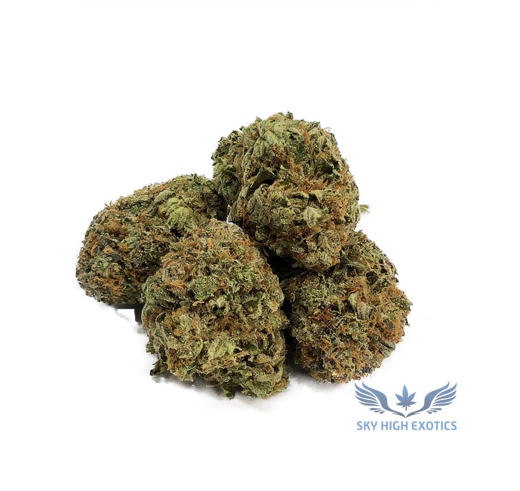 Sky High Exotics