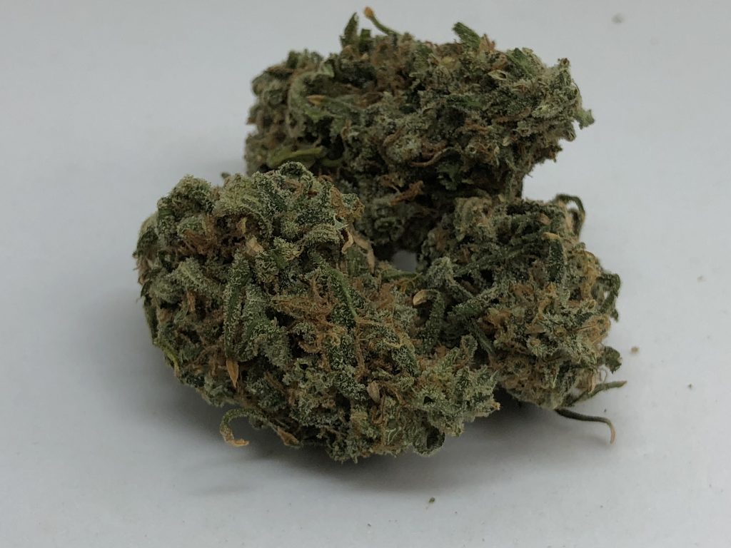 Sky High Exotics