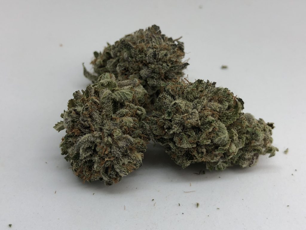 Sky High Exotics