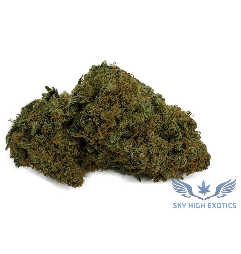 Sky High Exotics