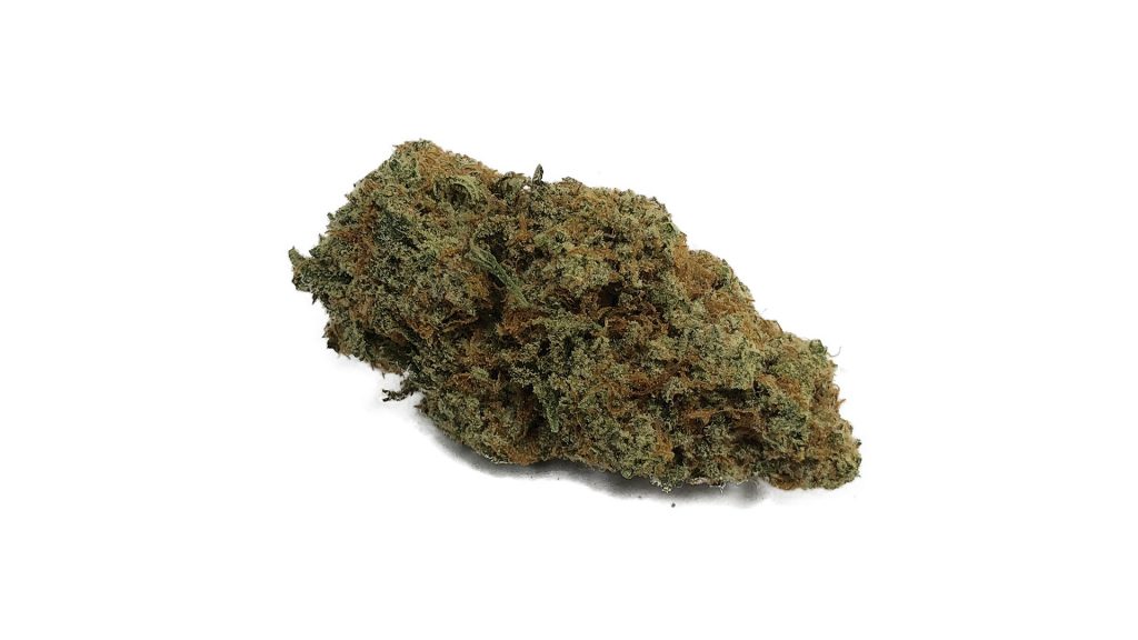 Sky High Exotics