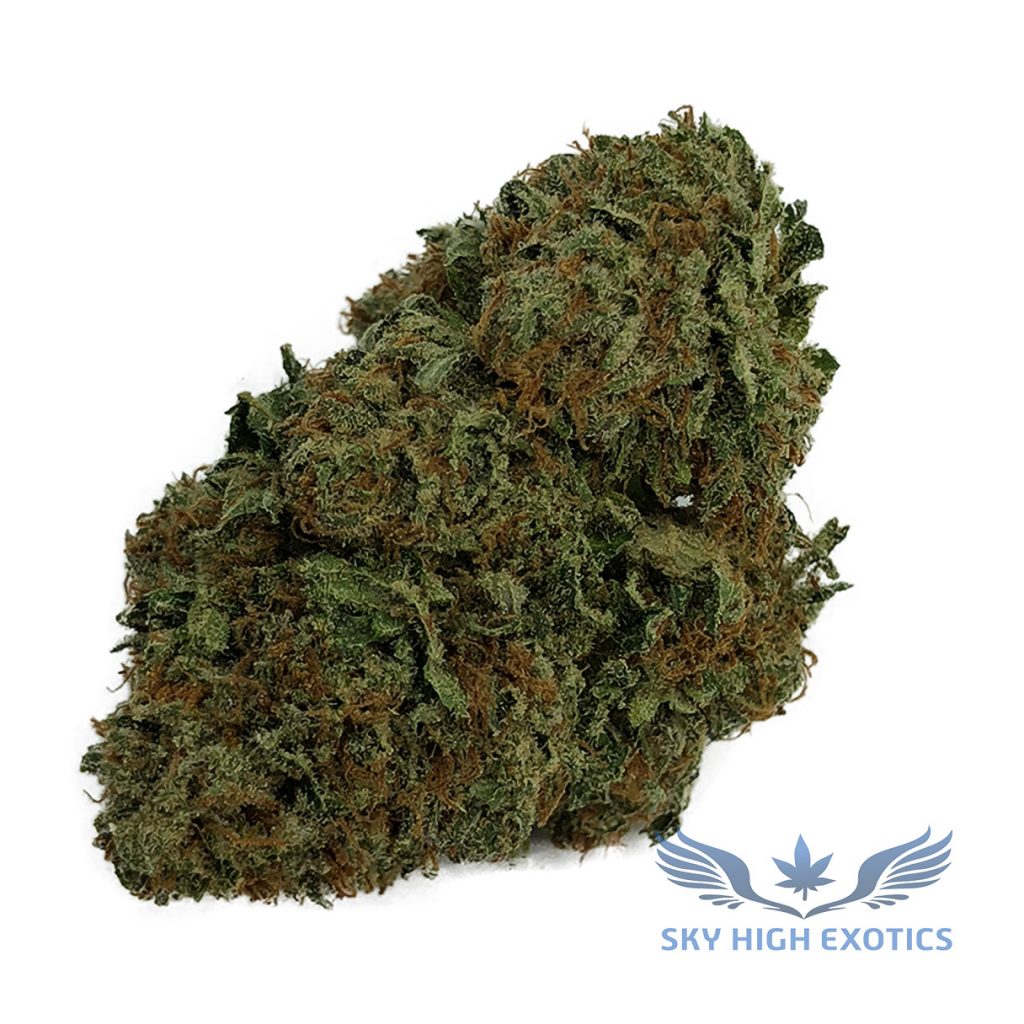 Sky High Exotics