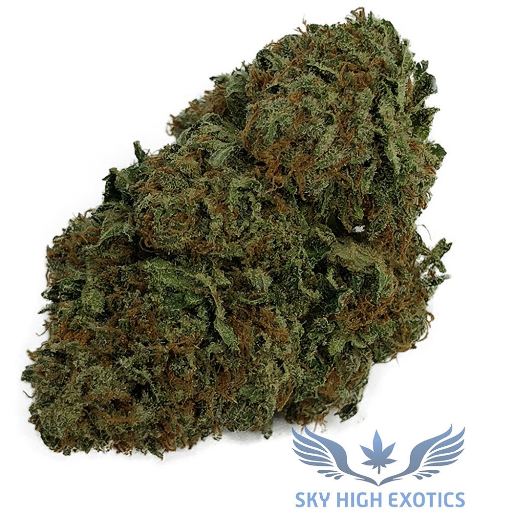 Sky High Exotics