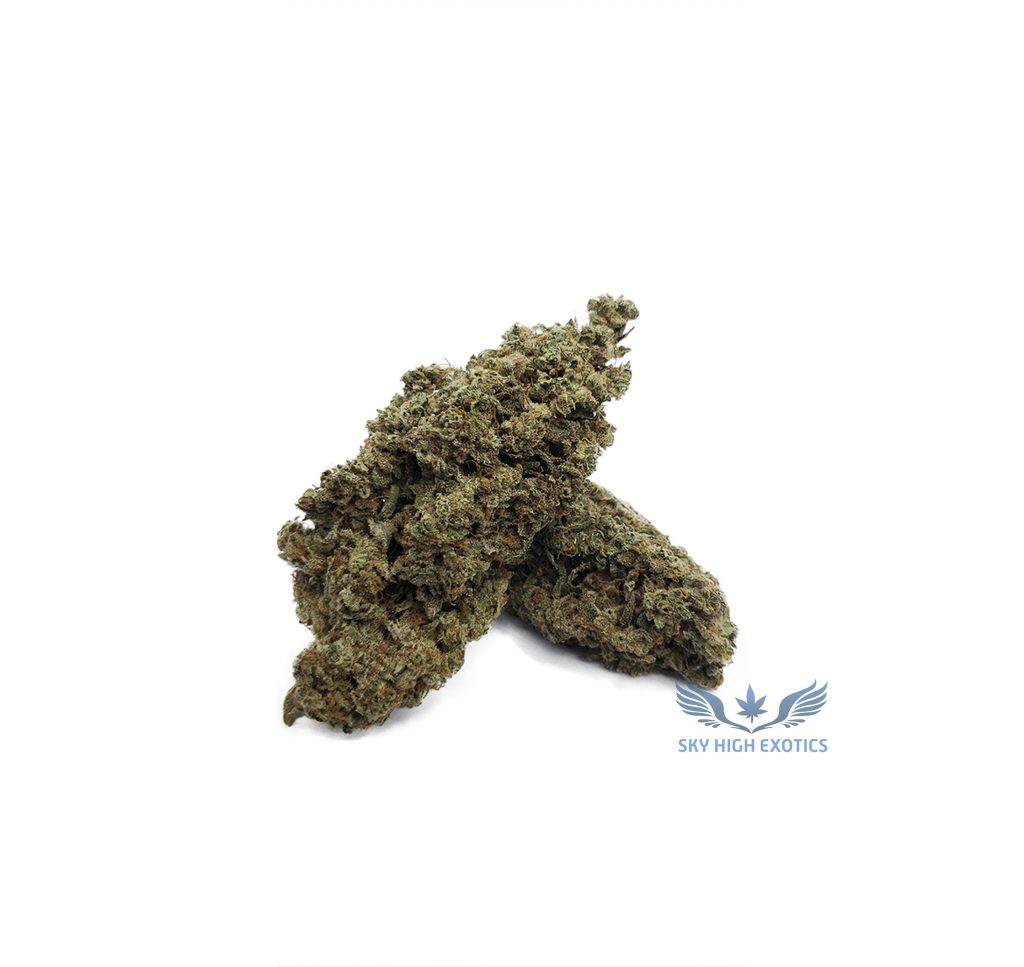 Sky High Exotics