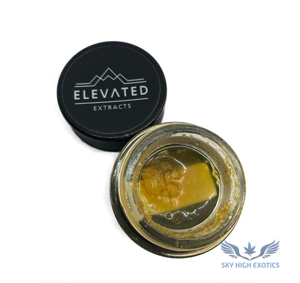 Sky High Exotics