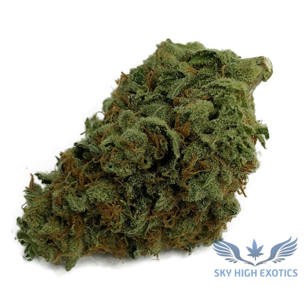 Sky High Exotics