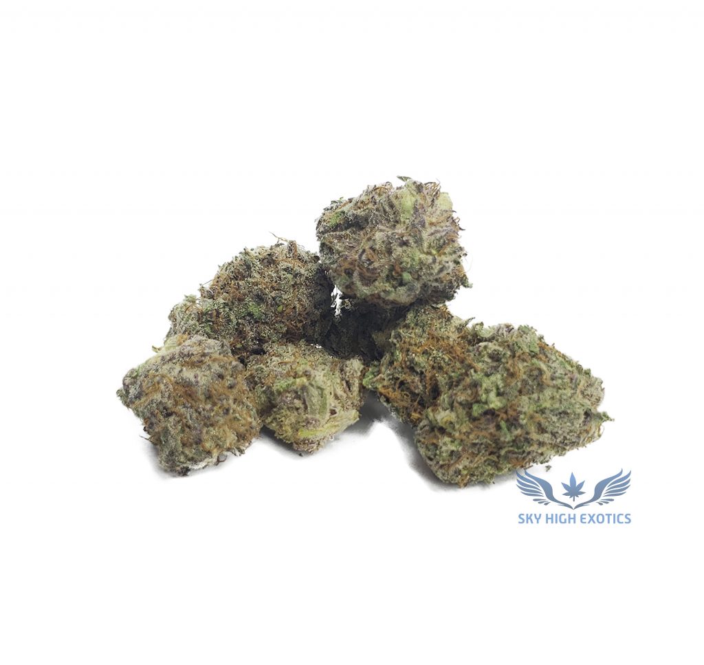 Sky High Exotics
