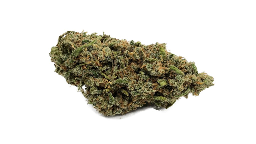 Sky High Exotics